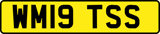 WM19TSS