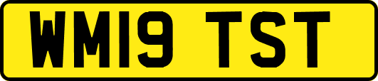 WM19TST