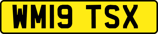 WM19TSX