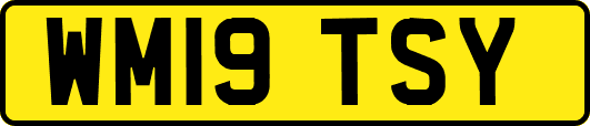 WM19TSY