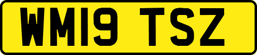 WM19TSZ