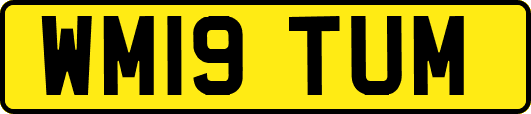 WM19TUM