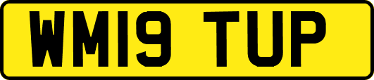 WM19TUP
