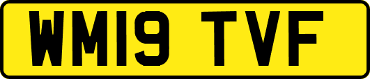 WM19TVF