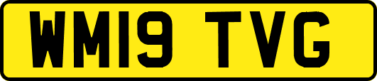 WM19TVG