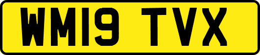WM19TVX