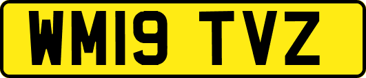 WM19TVZ