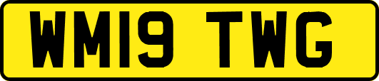 WM19TWG