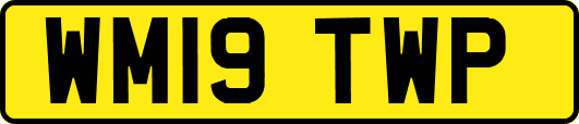 WM19TWP