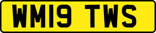 WM19TWS