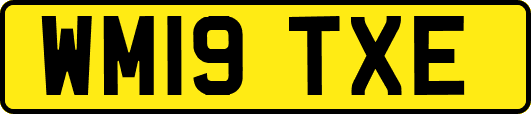 WM19TXE
