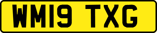 WM19TXG