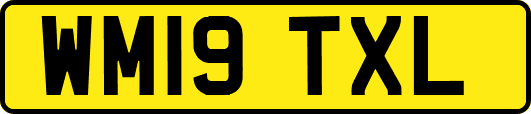 WM19TXL