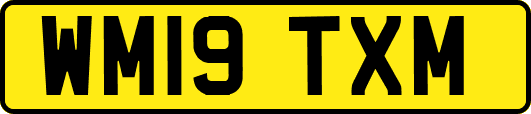 WM19TXM