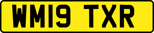 WM19TXR