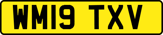 WM19TXV