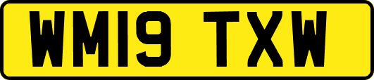 WM19TXW