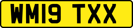 WM19TXX