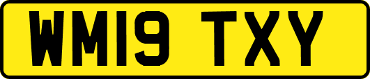 WM19TXY