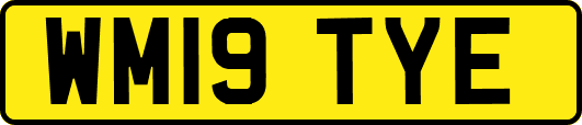 WM19TYE