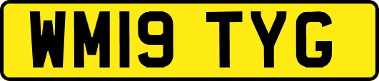 WM19TYG