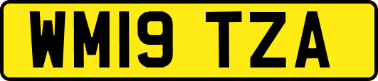 WM19TZA