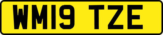 WM19TZE