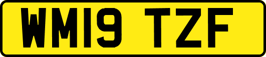WM19TZF