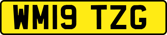 WM19TZG