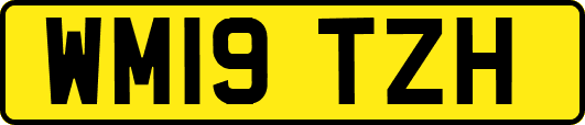 WM19TZH
