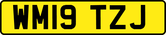 WM19TZJ
