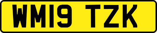 WM19TZK