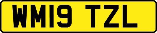 WM19TZL