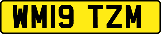 WM19TZM
