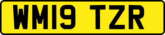 WM19TZR