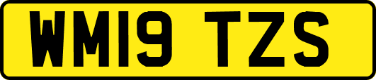 WM19TZS