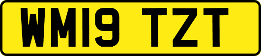 WM19TZT