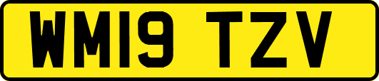 WM19TZV