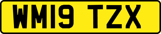 WM19TZX