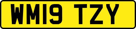 WM19TZY