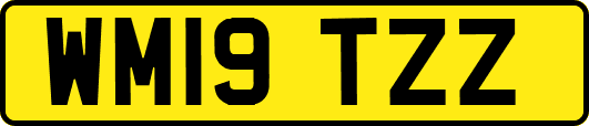 WM19TZZ
