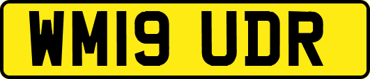 WM19UDR