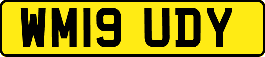 WM19UDY