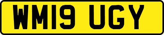 WM19UGY