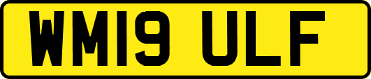 WM19ULF