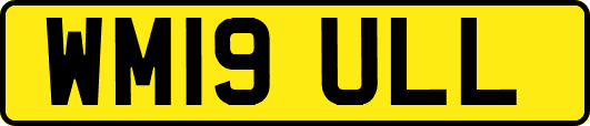WM19ULL