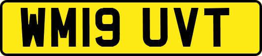 WM19UVT
