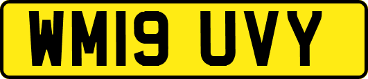 WM19UVY