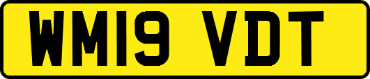 WM19VDT