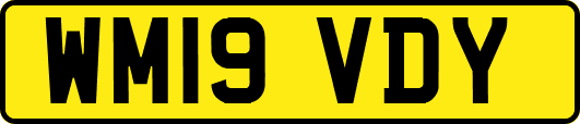 WM19VDY